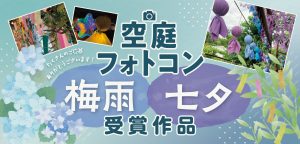 空庭フォトコン　梅雨七夕